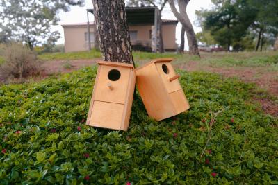 cajas nido